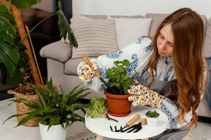 how to use plants as interior design elements